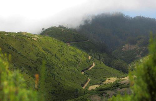 Apartamento Gois - Foto 74