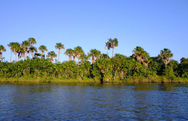 Traslado entre Barreirinhas y Atins en lancha rápida - Foto 4