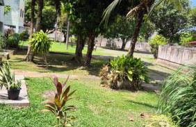 Fernando Guilhon - Foto 17