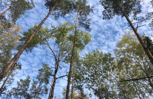 Gemütliche Ferienwohnung mit Pool bei Jena - Foto 22