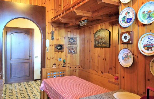 Pettirosso - Photo 9