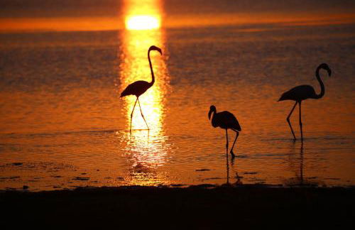 Mas des 4 Vents - Foto 26