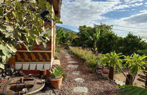 Afrikan Krisant Tenerife, Casa Rural Ecologica - Foto 24