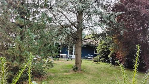 Hochwald chalet - Photo 4, Garden, Garden view