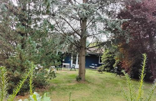 Hochwald chalet - Photo 4