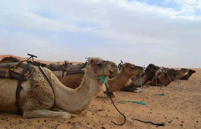 Escursione di 3 giorni nel deserto di Merzouga fino a Fès - Foto 1
