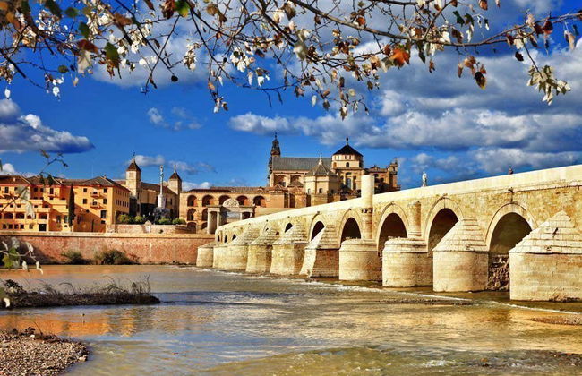 Excursión a Córdoba - Foto 1