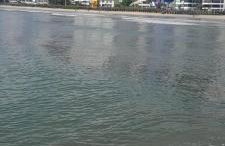 Apartamento de 35 m2 em Itapema - Foto 10