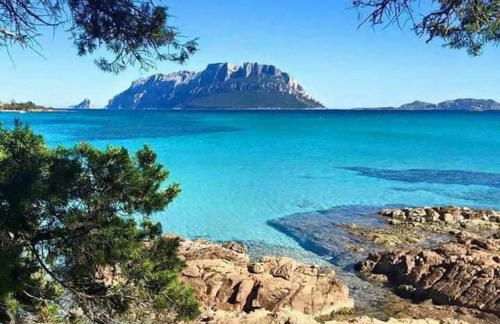 VILLA A 200 METRI DALLA SPIAGGIA - Foto 42