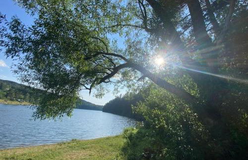 Pension und Ferienwohnung am Teich - Foto 21