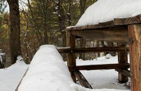 Woods Etna Chalet - Photo 18