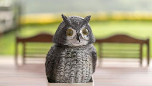 Belabieta - baskeyrentals - Foto 5