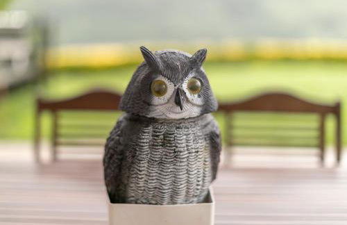 Belabieta - baskeyrentals - Foto 5