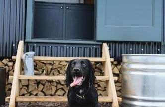 The Winford Retreat - Foto 23