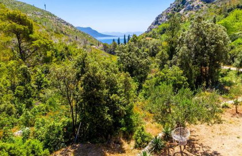 Beautiful Home In Trstenik With Kitchen - Foto 13