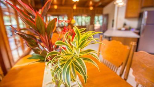 Hale Mauna Loa Upper Level with shared Hot Tub - Photo 5