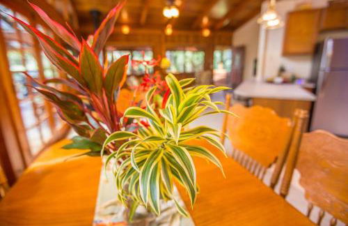 Hale Mauna Loa Upper Level with shared Hot Tub - Foto 5