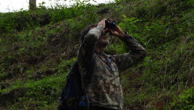 Using the binoculars during the activity