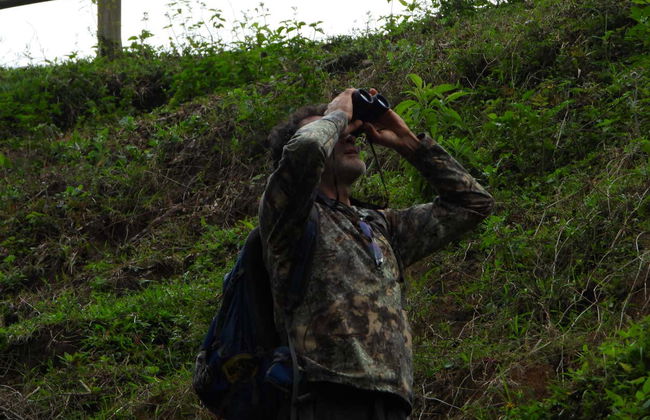 Avistamiento de aves en la reserva Santa Rita - Foto 1