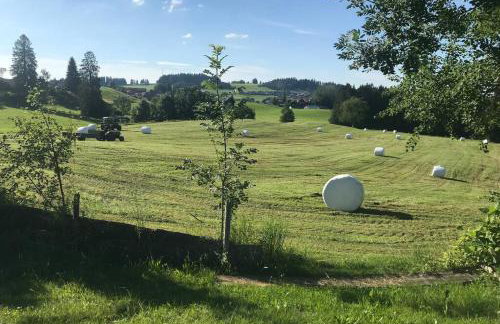 Oberreute - Modernes Zuhause mit Allgäu Aussicht - Foto 10