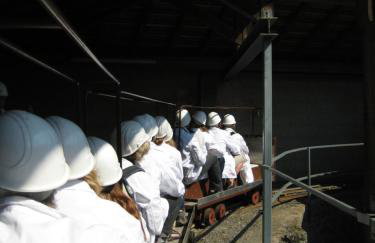 tiny house Pfalz Wellness und Wanderurlaub - Foto 42