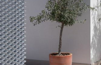 Líbere Seville Plaza Nueva - Foto 61