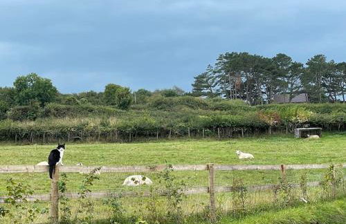 Tranquil, secluded, rural cottage for two - Photo 20