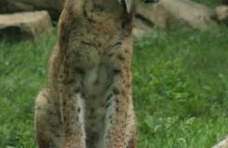 Can Batlló, entorno acojedor y romántico - Foto 70