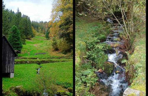 Panoramablick Bermersbach - Foto 18