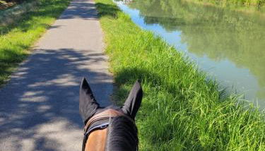 Villa Monplaisir 82 - Foto 3