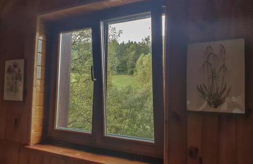 Kałamunka - Foto 54