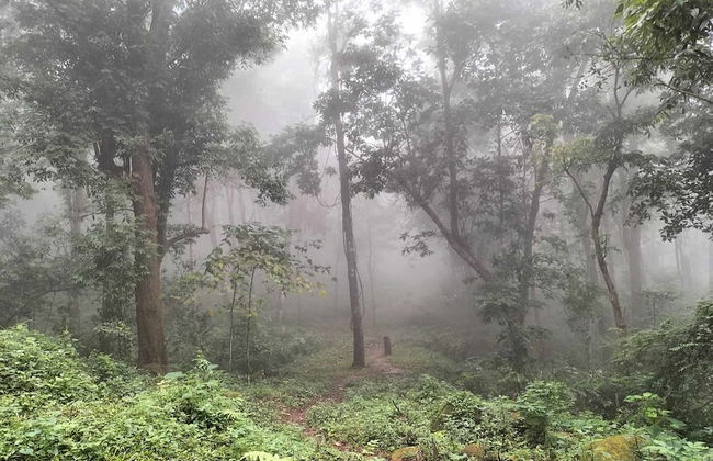 Doi Pumuen Lahu Homestay - Foto 38