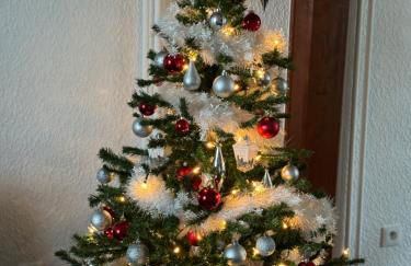 Just In Colmar, maison complète avec parking privé - Foto 51