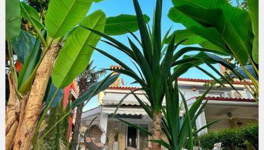 villa MEDITERAN - Foto 5