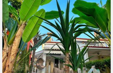 villa MEDITERAN - Photo 5