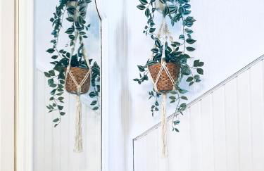 Eifel-House - FeWo - Foto 25