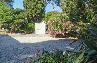 Lou Pitchoun - Foto 13