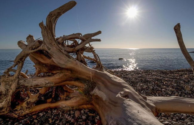 Uitzicht op de Kraanvogel - Foto 3