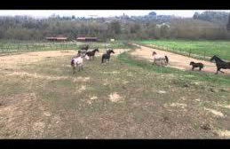 Agriturismo Il Bardellino - Foto 73