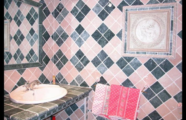 Le Mazet De La Dame - Foto 10