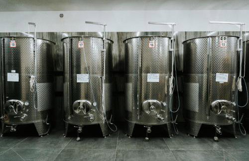 Apartamenty Winnica Milsko - Foto 11