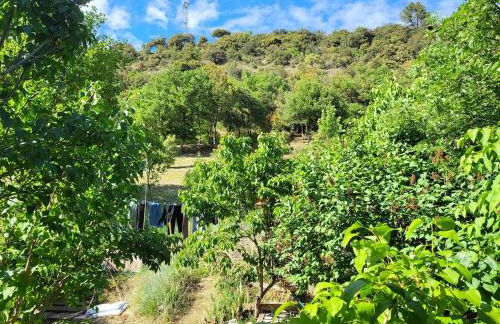 Maison au cœur du Verdon 2 chambres et terrasse - Foto 7