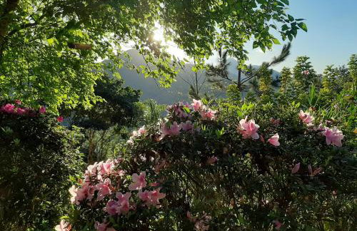 Chalé Pakere Montanha Lumiar - Conforto a mais de 1000 metros de altitude junto a natureza, wifi, piscina, sauna e água de nascente - locação do chalé sem prestação de serviços - Foto 69