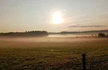 Zacisze pod brzozami - Foto 22