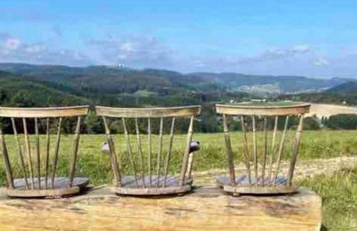 Fachwerkhaus im Sauerland - Goldhase Anno 1700 - Foto 64