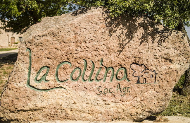 Agriturismo La Collina - Foto 31