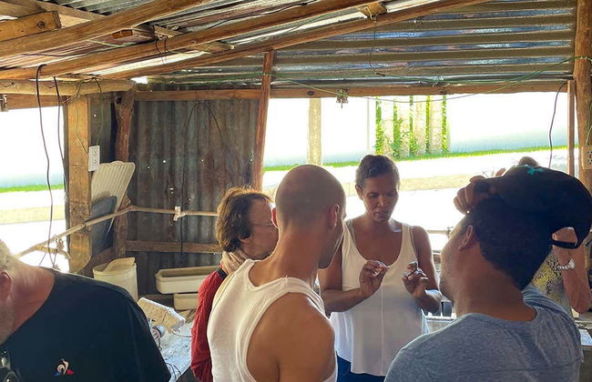 Larimar Mines Day Trip - Foto 6