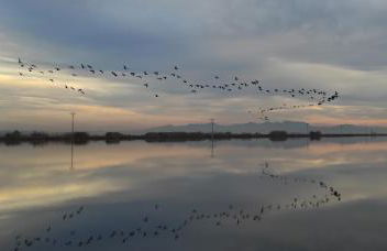 Mi pequeña terraza - Foto 25