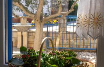 Olive Tree Apartments - Photo 33