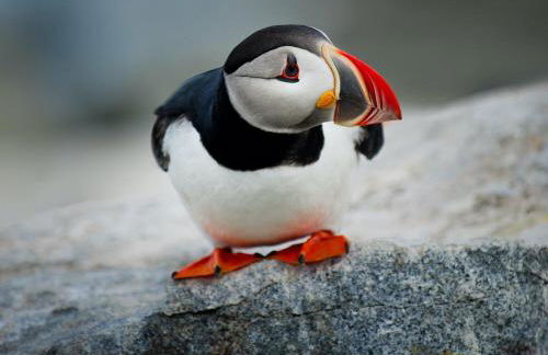 HomeDecor Cottages - The Sands Cottage - Photo 28